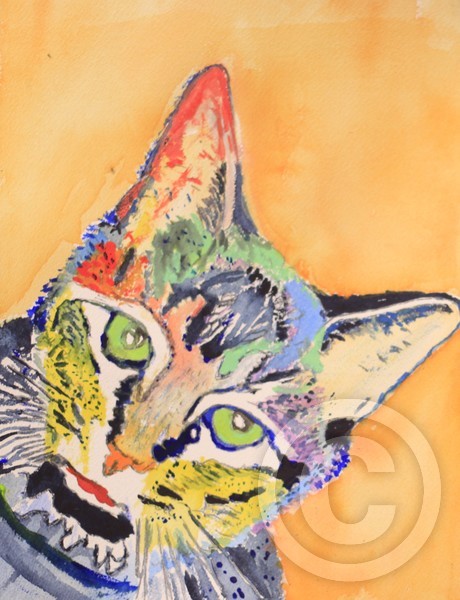 debs orange amber 9 x 12 wen liked 6 14 11 finish
