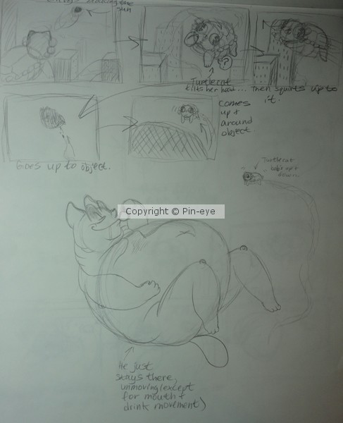 Turtlecat & Mr. Universe Storyboard Pt. 1
