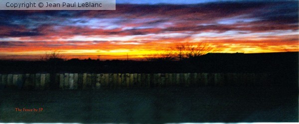 Cal City Fence copy 24x10