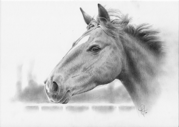 May (Original Portrait Commission)