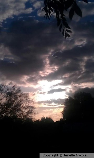 Sunset in Spring