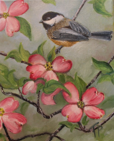 Northern Chickadee in Dogwood