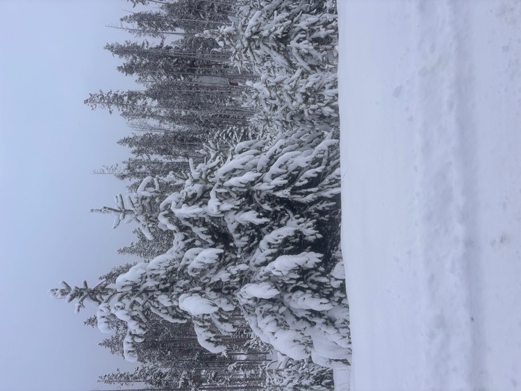 go up 1,000 feet and this is what you find. 