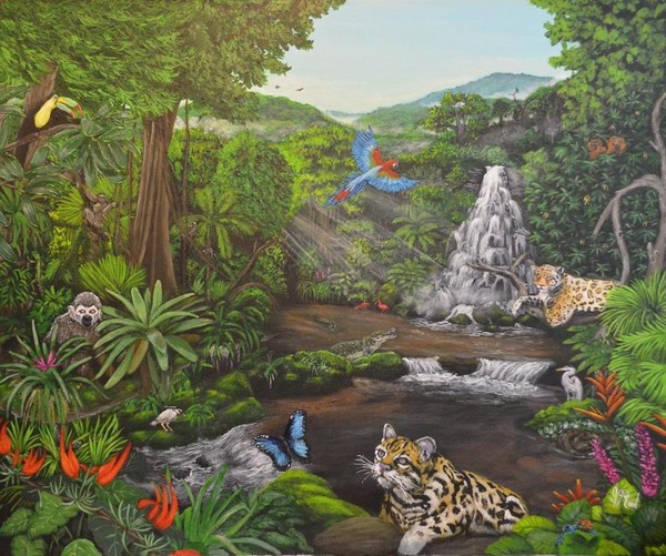 Beauty of the Amazon