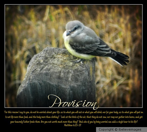 provision