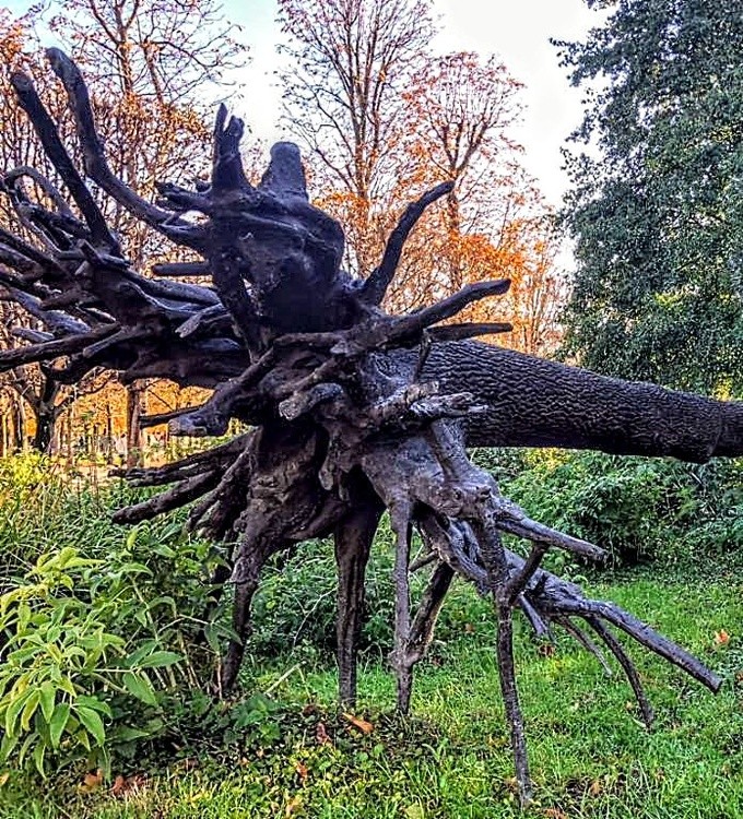 NATURAL SCULPTURE