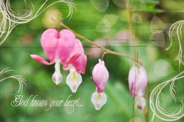 God knows your heart...