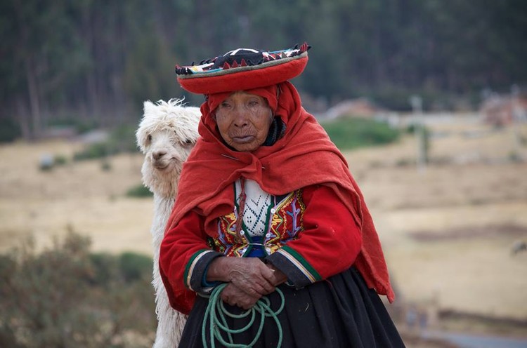 Woman and Alpaca in Cuzco