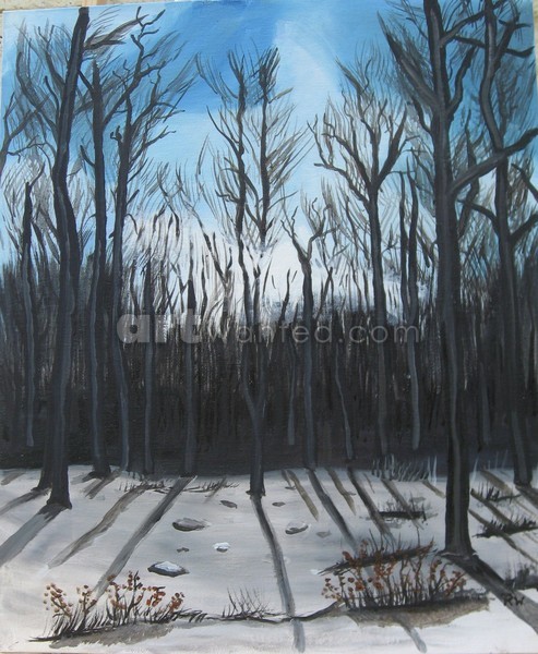 096 Forest  under snow