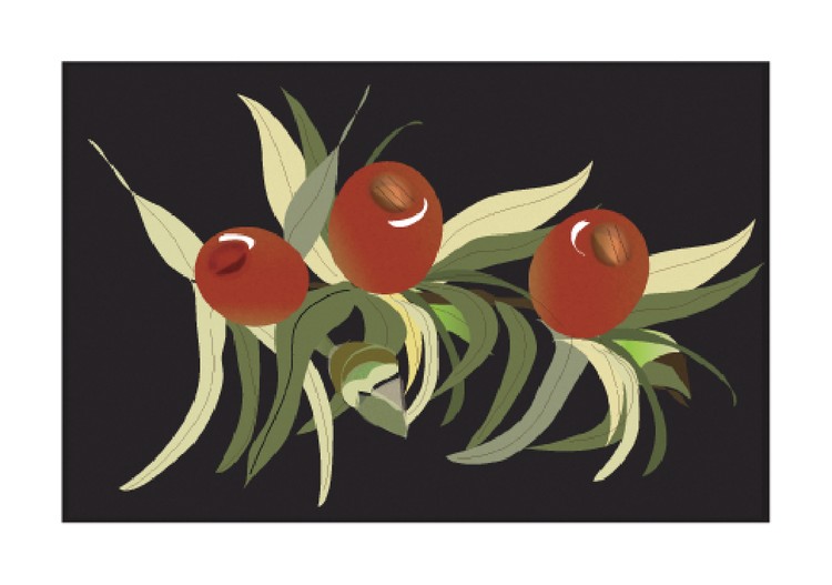 berries - Copy