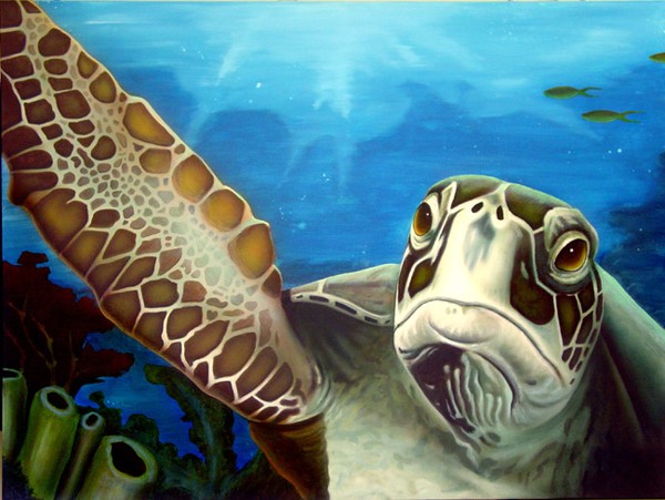 Sea Turtle