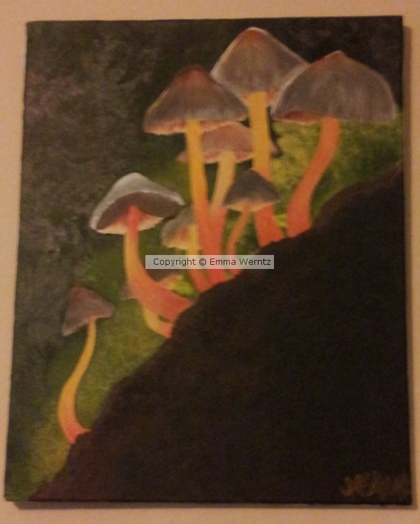 Mushrooms