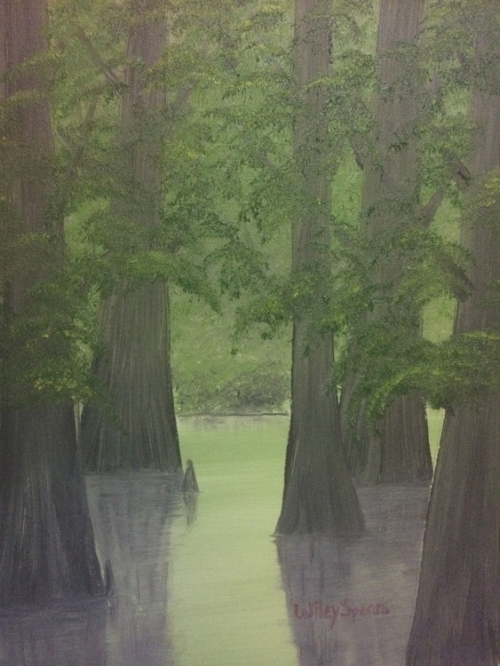 Louisiana Swamp