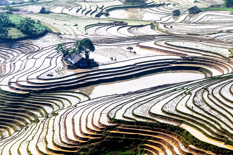 Ethnic Farmers' Terraces in Plowing season