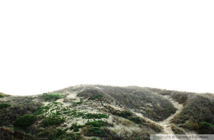 Pathway To A White Sky