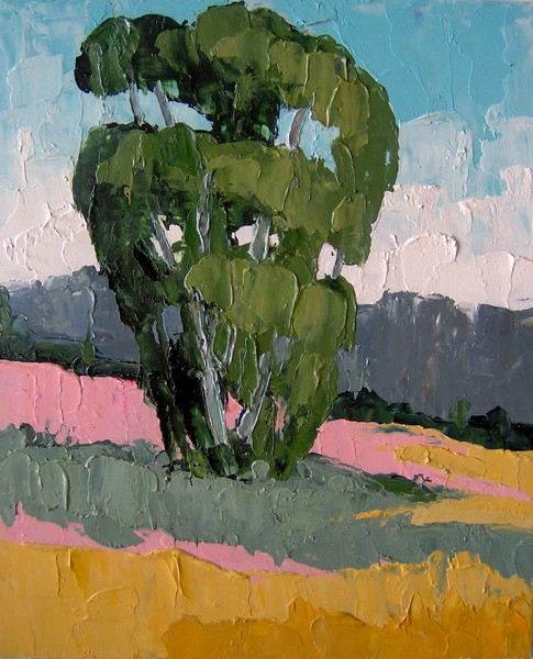 California Eucalyptus