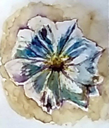 White Rose Watercolor