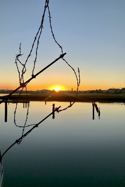 Martinez Shoreline - Barbed Wire Dawn #420