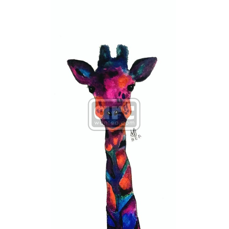 Dreamy Giraffe