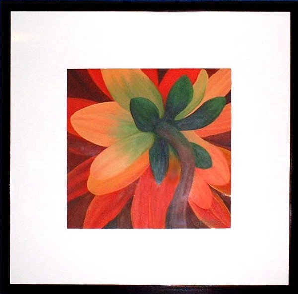 Dahlia's Behind