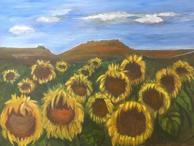 sunflowers