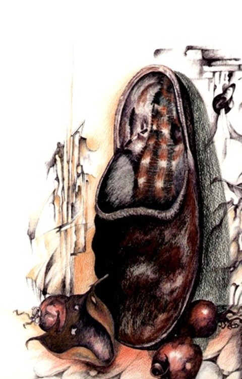 der verlorene Schuh