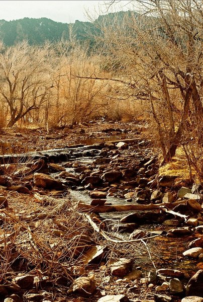 Babbling Brook