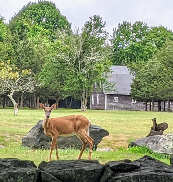 5 minutes ago at my friend's house
