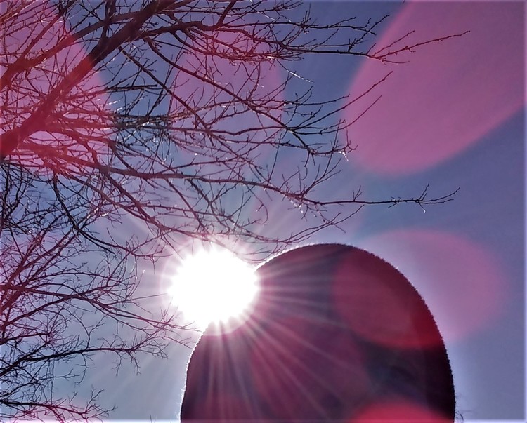 Sun of Man