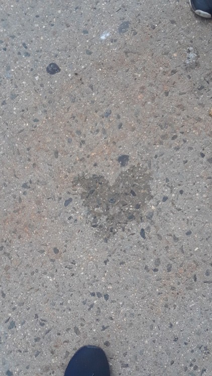 I see hearts everywhere- concrete heart