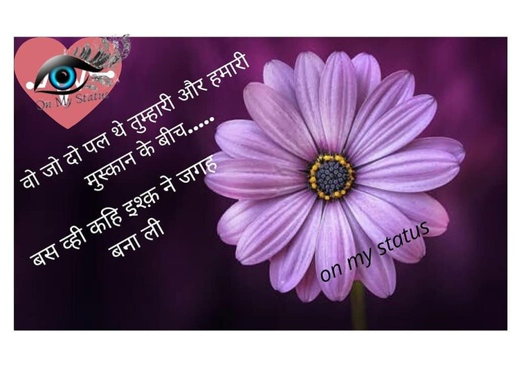 For more Status Click visit on websitewww