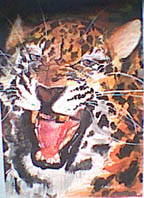 Big Cat