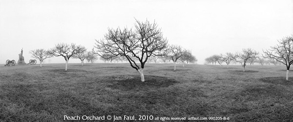The Peach Orchard