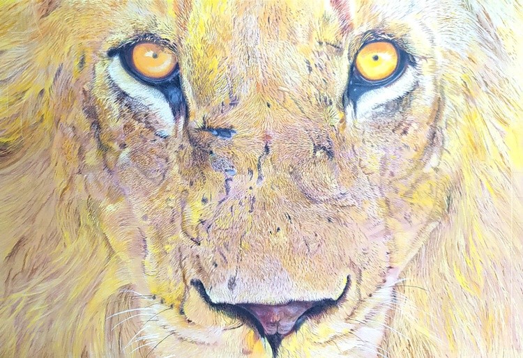 King of Land
