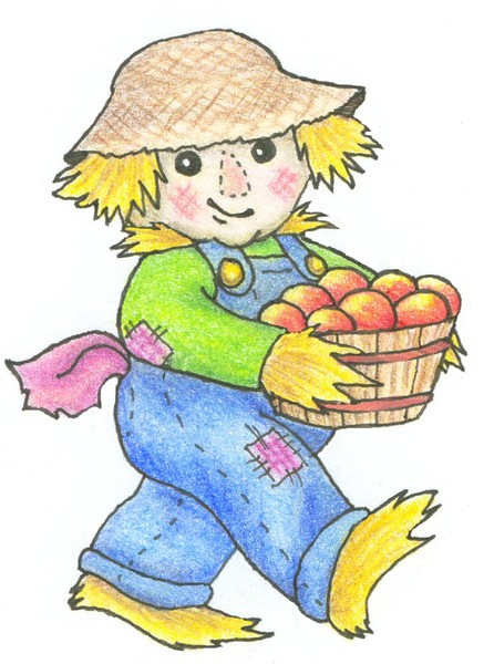 harvest time