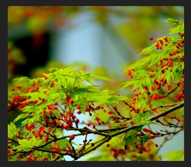 Nature