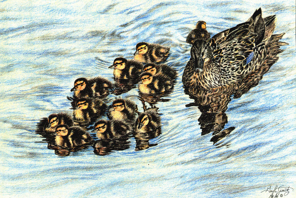 Mother Hen