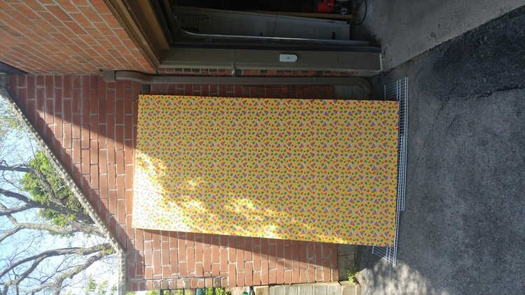 8ftx4ft Lifesize project