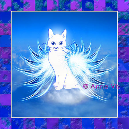 Knor Angel