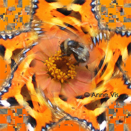About the Flowers & the Bees ...