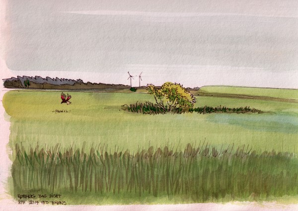 Marsh harrier searcing the lowlands