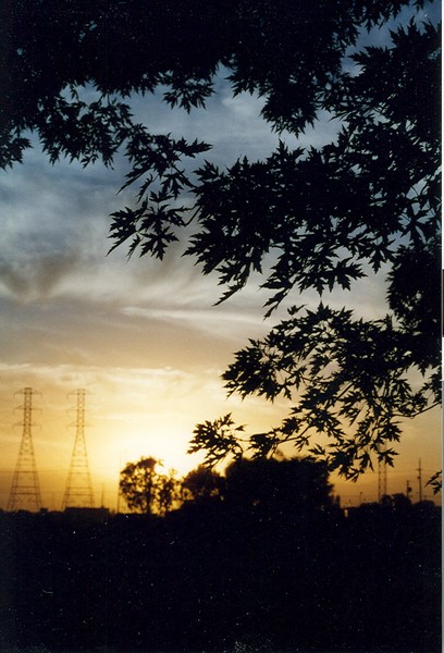 Another Sunrise