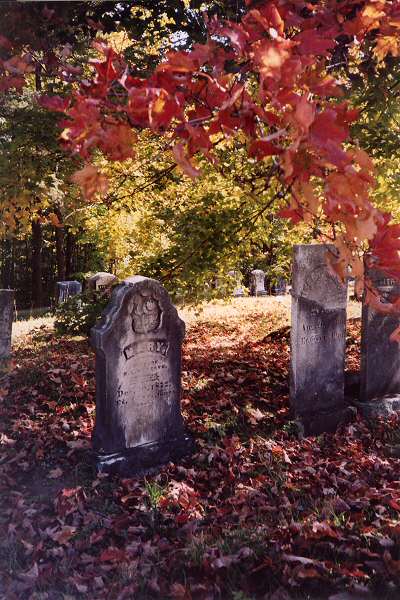 Mary Rose's Halloween