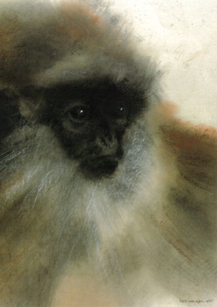 one more monkey