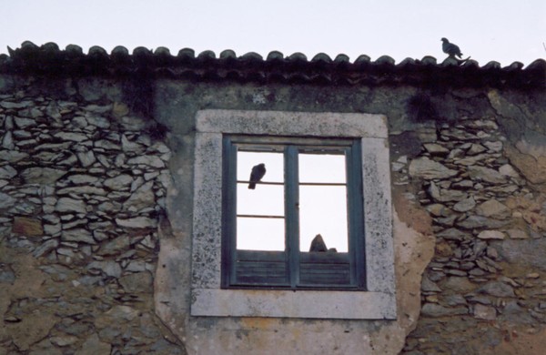 Wall of TIME