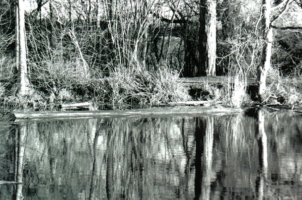 Reflecting Pool