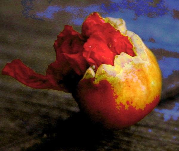 Desire