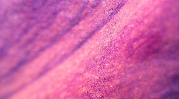 Petal