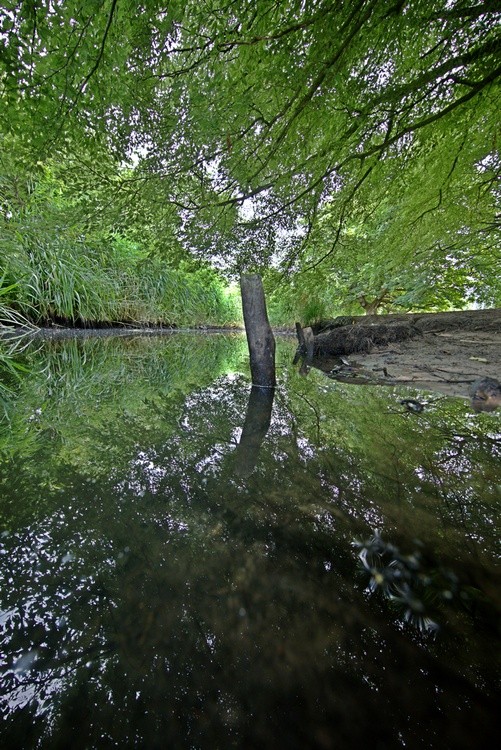 Upstream