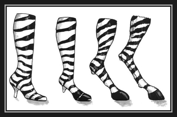 Zebra Boots